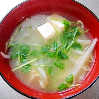 もやしと豆腐、豆苗の味噌汁